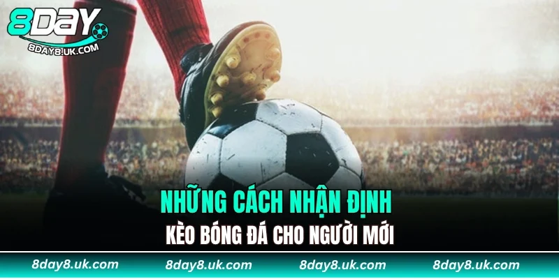 Những cách nhận định kèo bóng đá cho người mới