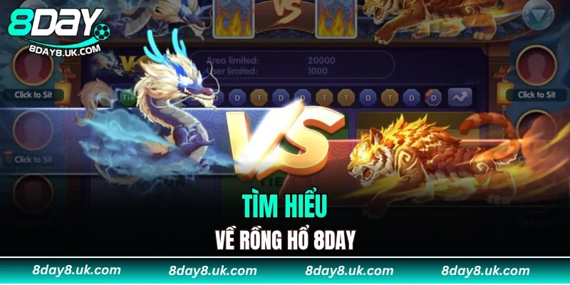 Tìm hiểu về rồng hổ 8DAY