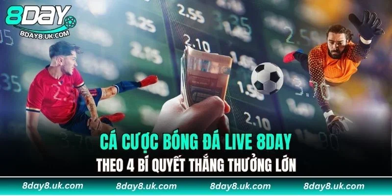 Cá cược bóng đá live