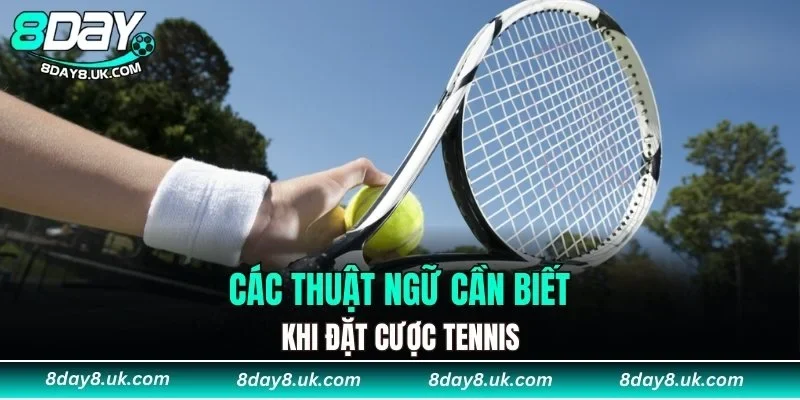 Các thuật ngữ cần biết khi đặt cược tennis