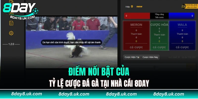 Điểm nổi bật của tỷ lệ cược đá gà tại 8DAY