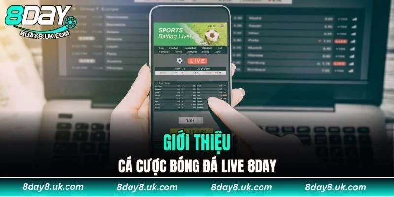 Giới thiệu cá cược bóng đá live 8DAY