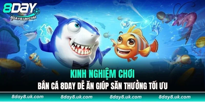 Kinh nghiệm chơi bắn cá 8DAY dễ ăn giúp săn thưởng tối ưu